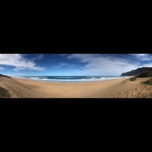 Meet your Posher, Shay